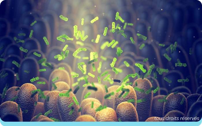 Approfondir les connaissances sur le microbiote pour développer des approches innovantes en santé